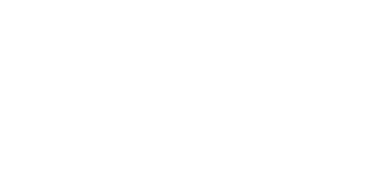 Meta
