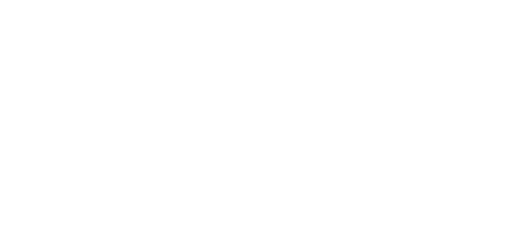 TikTok Shop