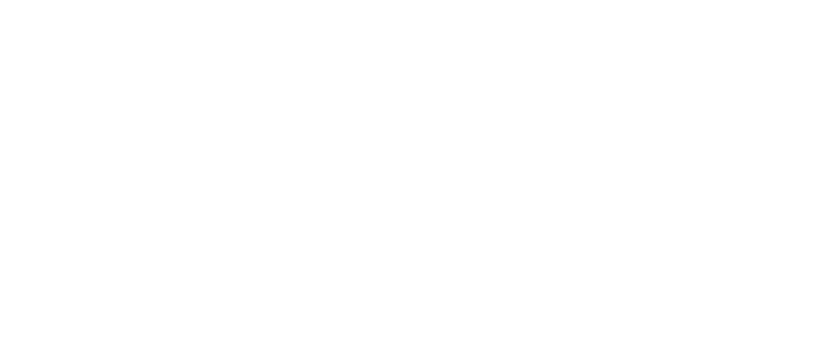 Sync Fest